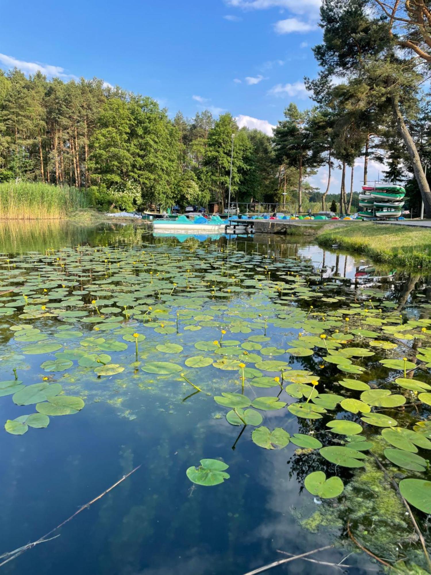 Osrodek Wypoczynkowy "Julia" W Samociazku Otel Samociążek Dış mekan fotoğraf